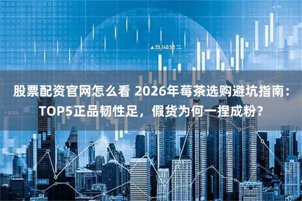 股票配资官网怎么看 2026年莓茶选购避坑指南：TOP5正品韧性足，假货为何一捏成粉？